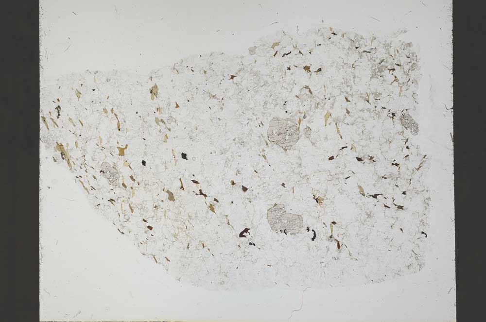 Plane Polarized, S54930