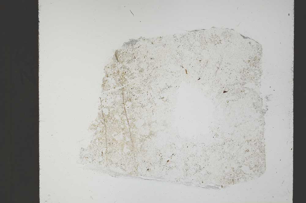 Plane Polarized, S54933