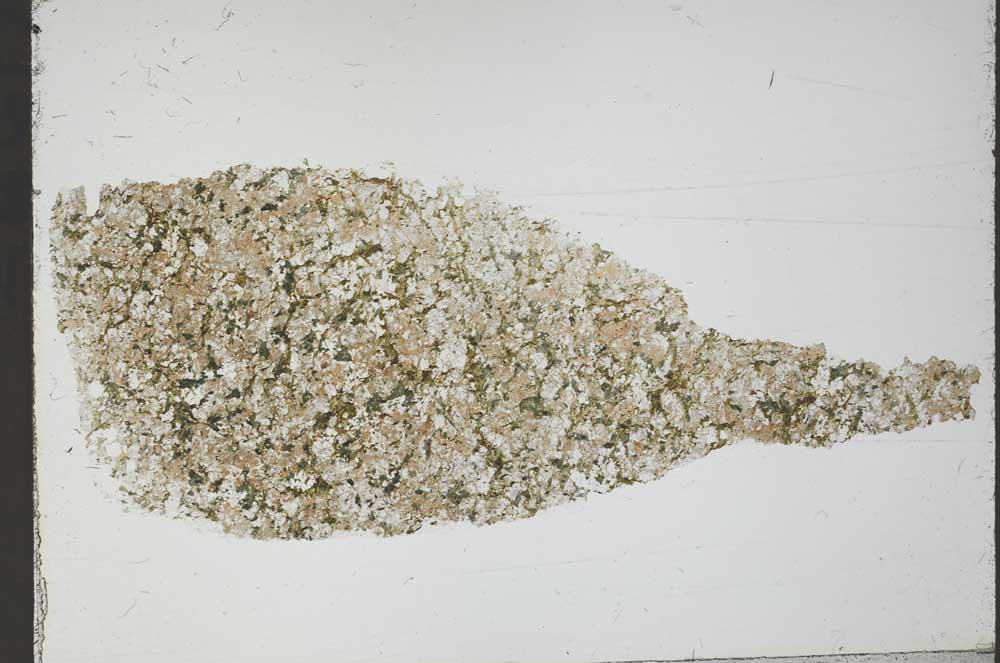 Plane Polarized, S54935