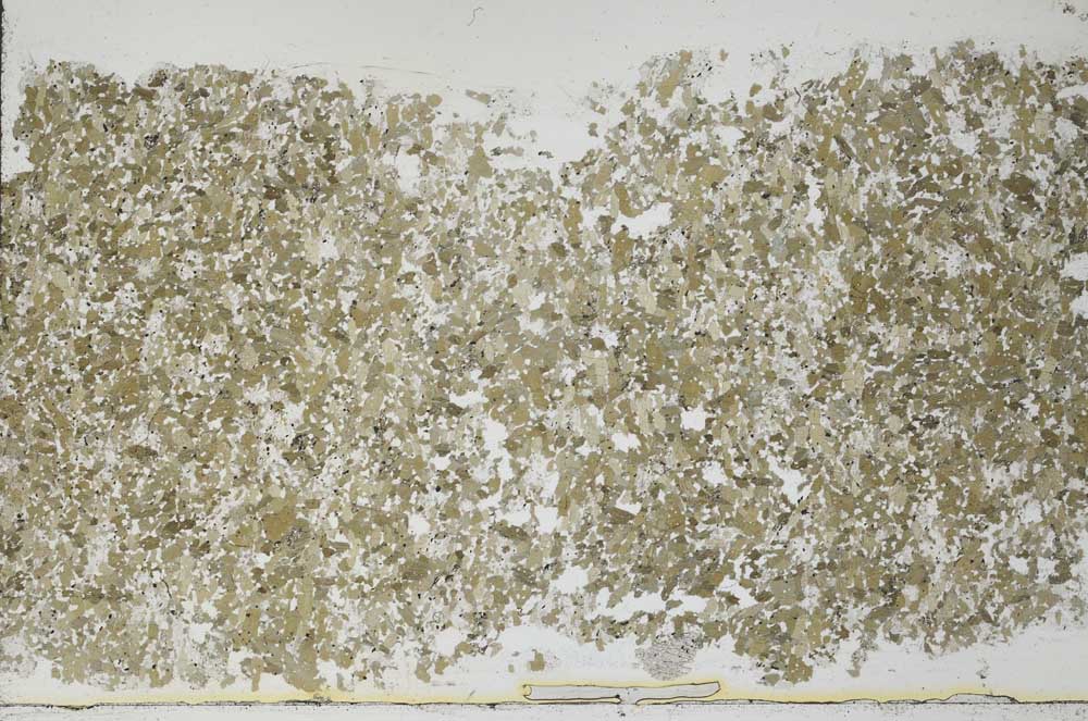 Plane Polarized, S54974