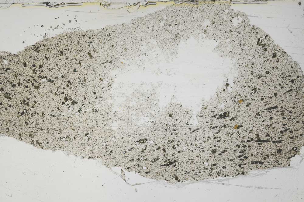 Plane Polarized, S54977