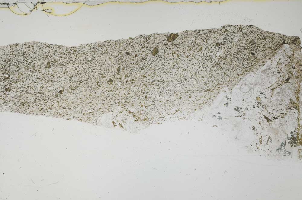 Plane Polarized, S54979