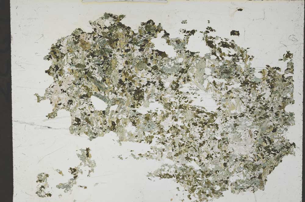 Plane Polarized, S54983