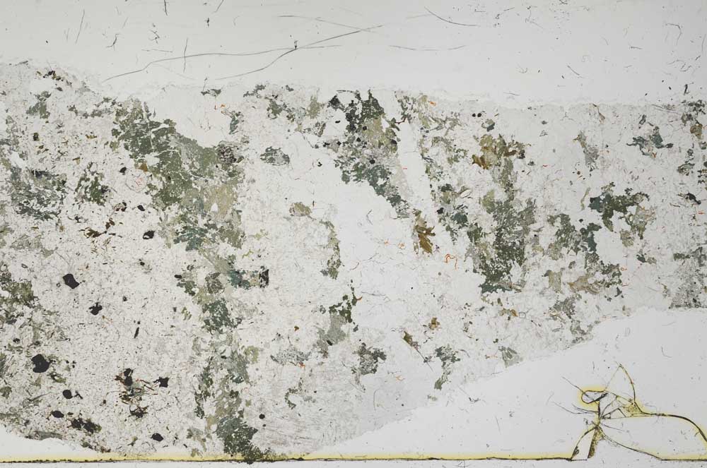 Plane Polarized, S54995