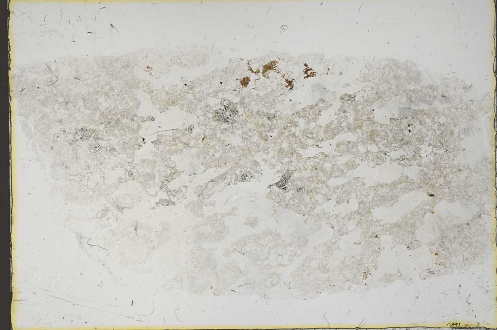 Plane Polarized, S54999
