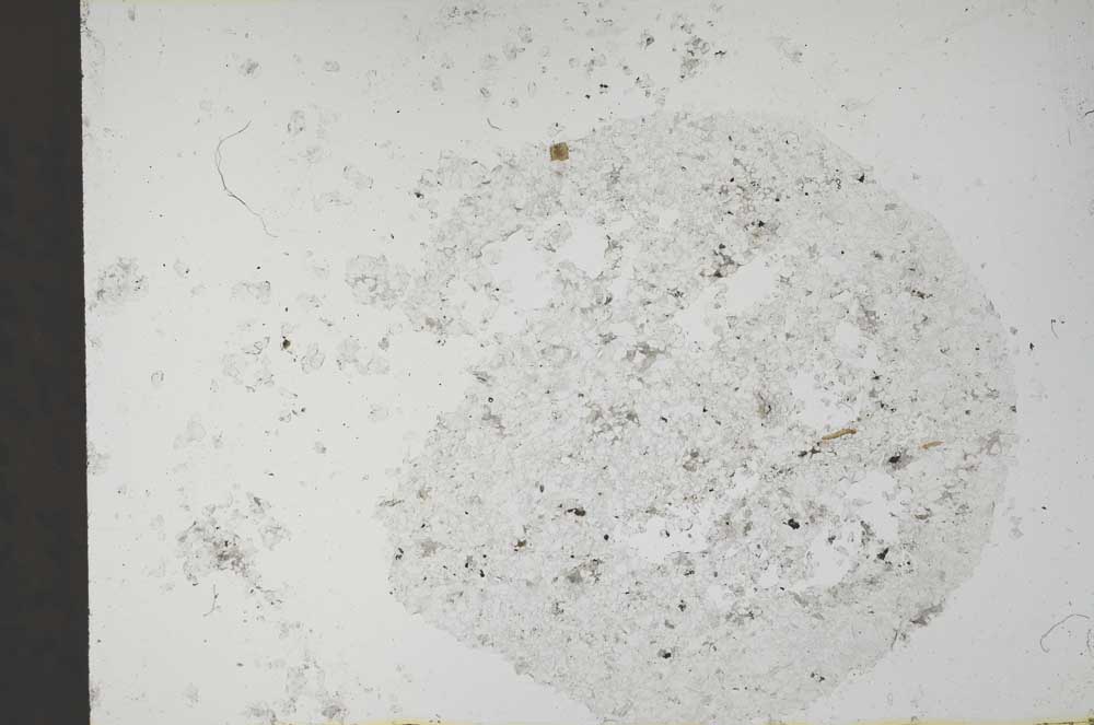 Plane Polarized, S55026