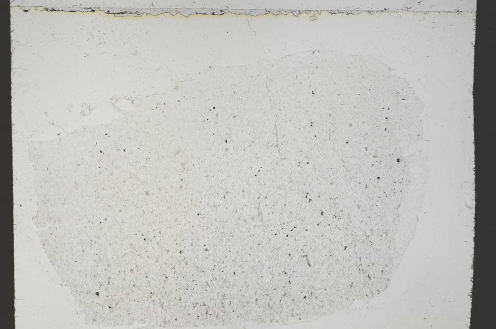 Plane Polarized, S55030