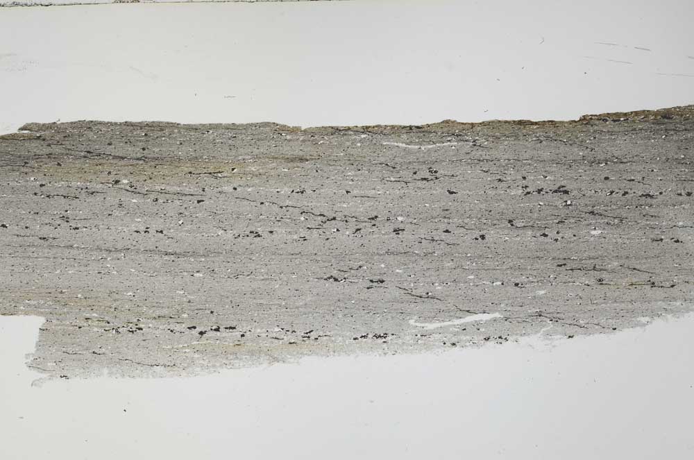 Plane Polarized, S55072