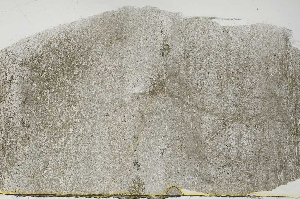 Plane Polarized, S55079