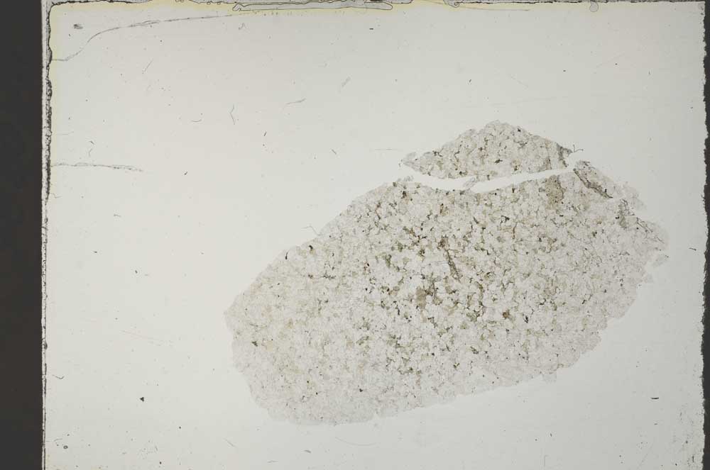 Plane Polarized, S55082