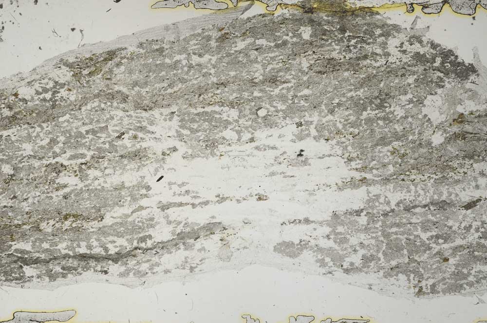 Plane Polarized, S55104