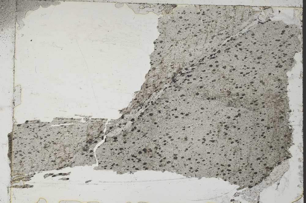 Plane Polarized, S55106/A