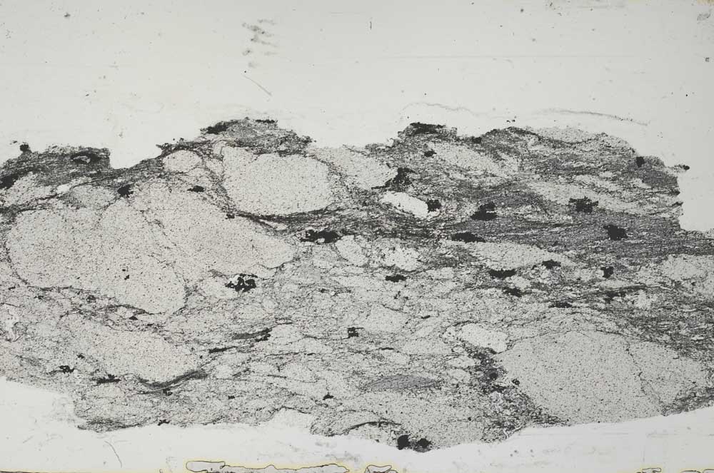 Plane Polarized, S55113