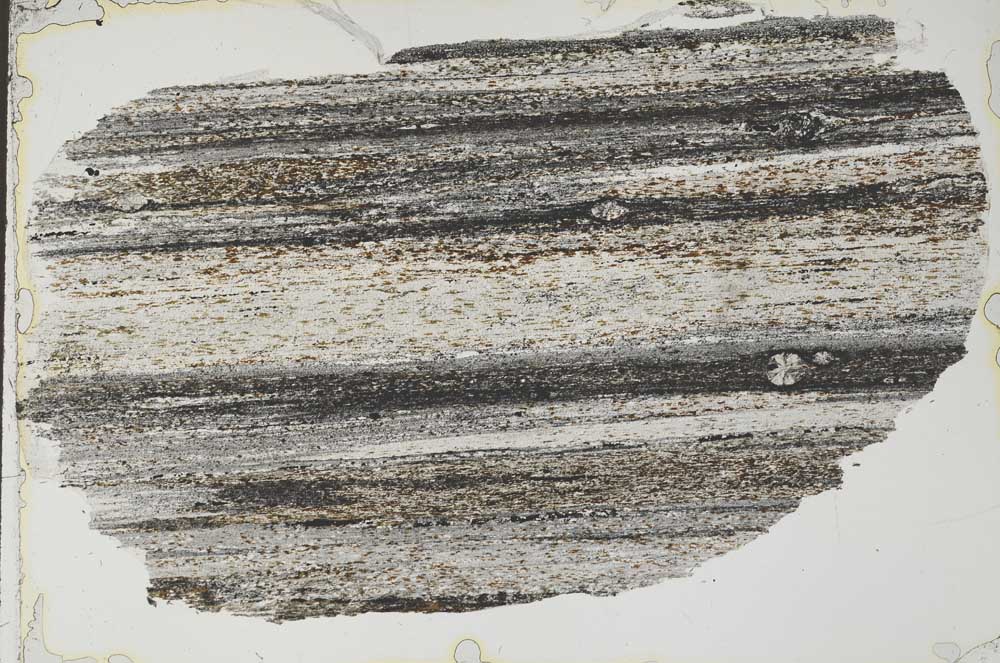 Plane Polarized, S55114