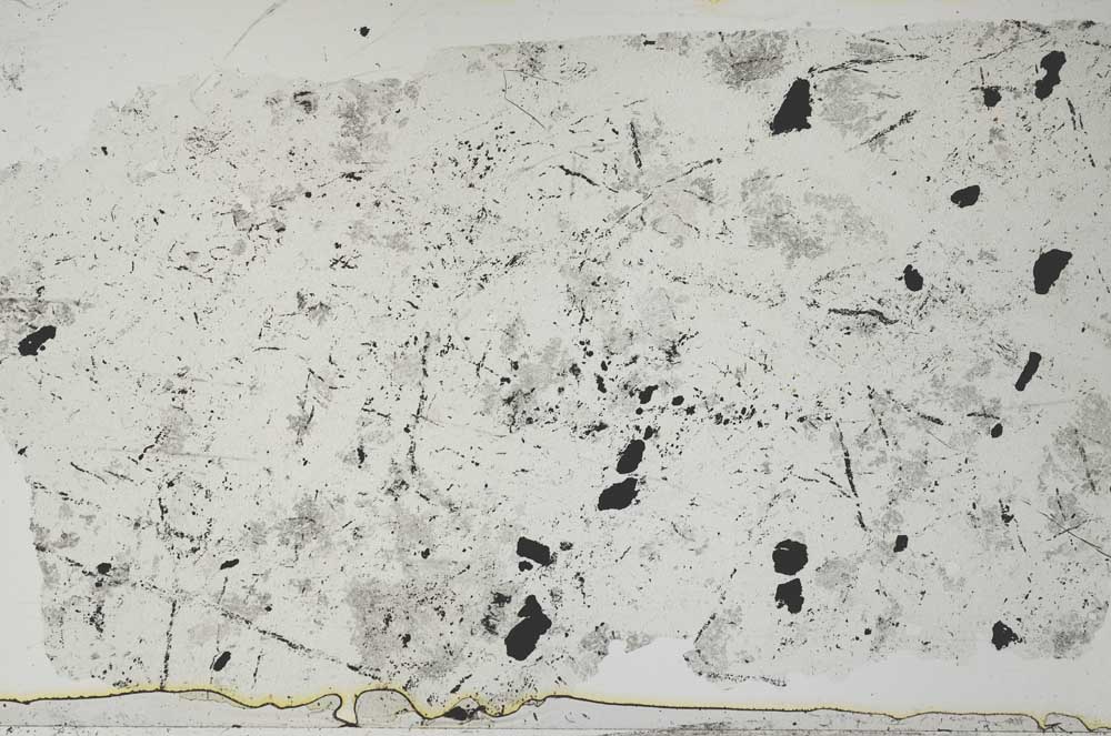 Plane Polarized, S55118