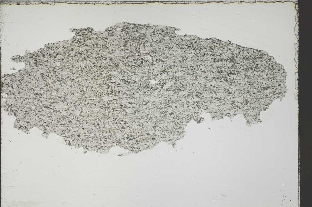 Plane Polarized, S55123