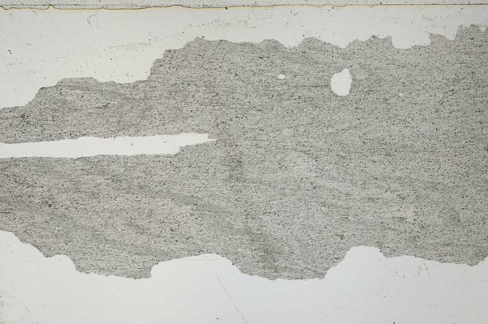 Plane Polarized, S55124