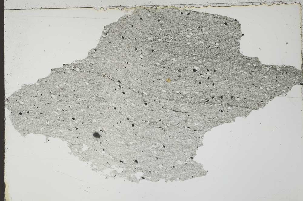 Plane Polarized, S55125