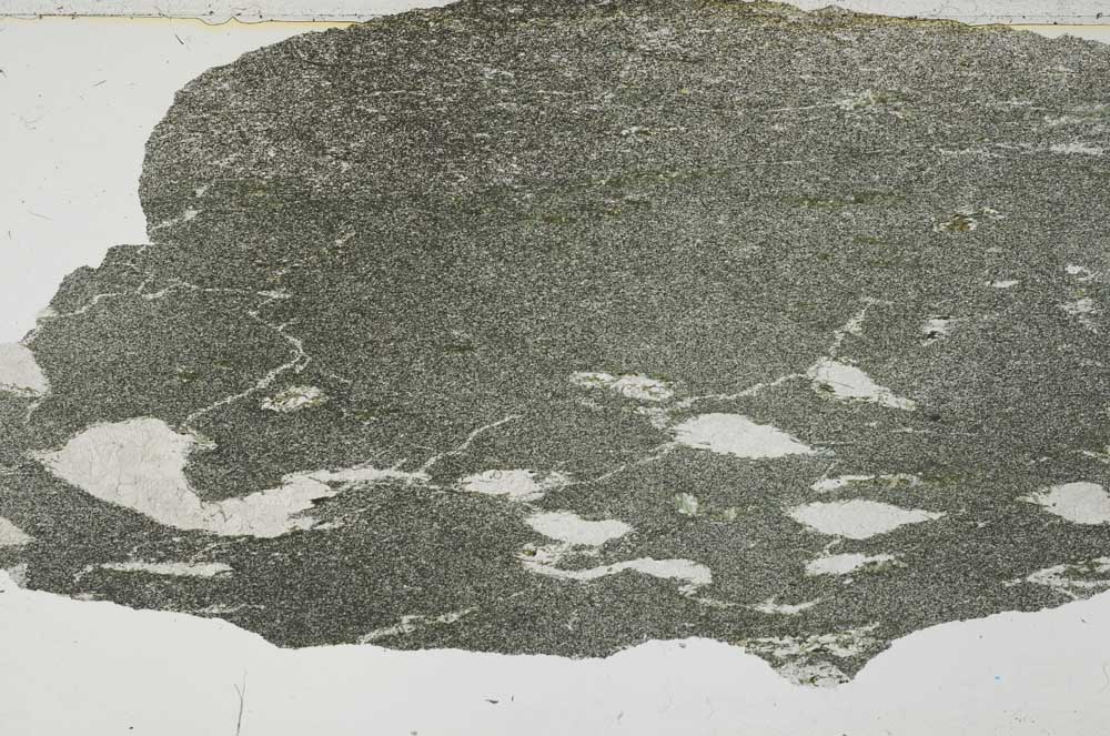 Plane Polarized, S55130