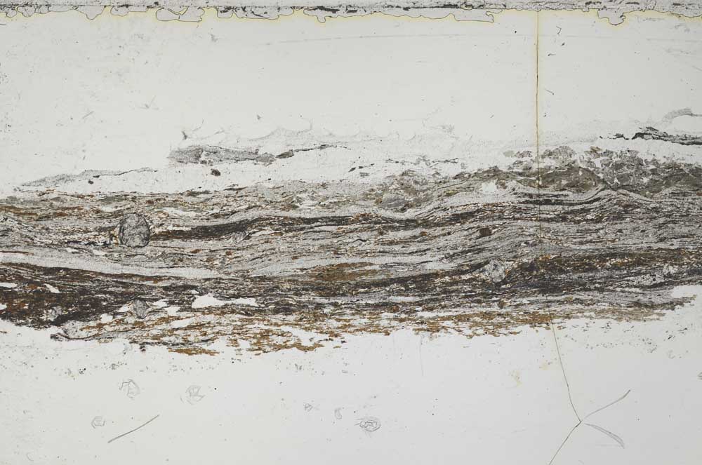 Plane Polarized, S55132