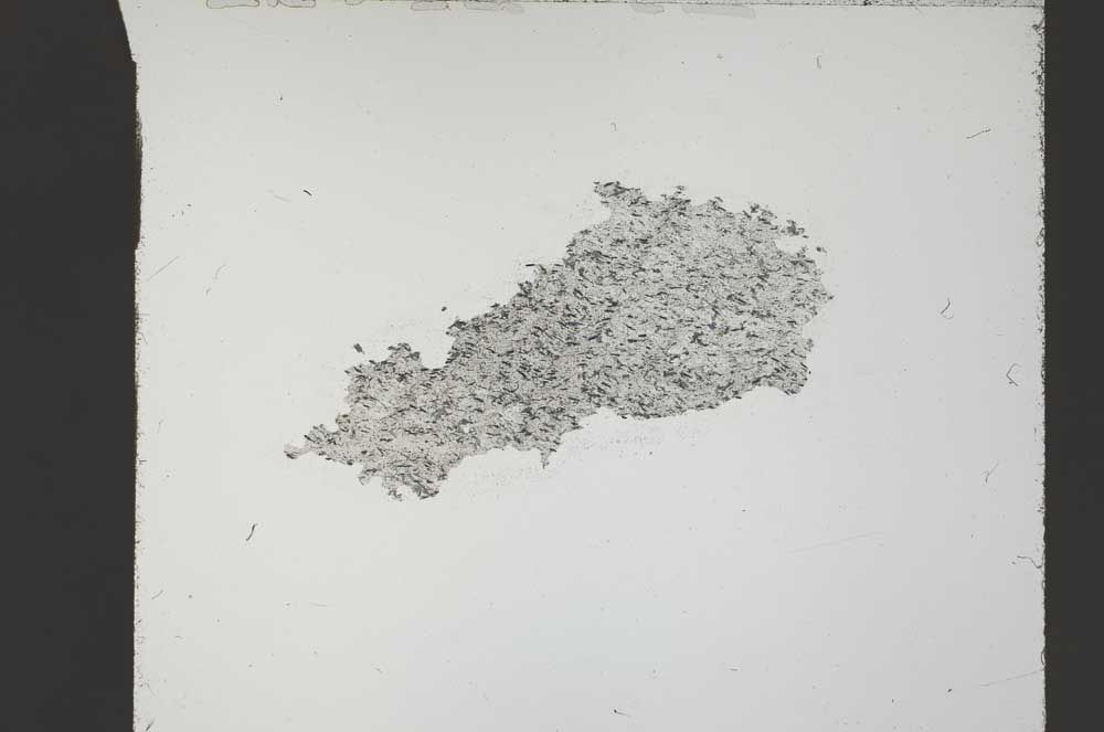 Plane Polarized, S55133