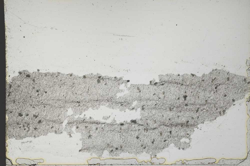 Plane Polarized, S55134