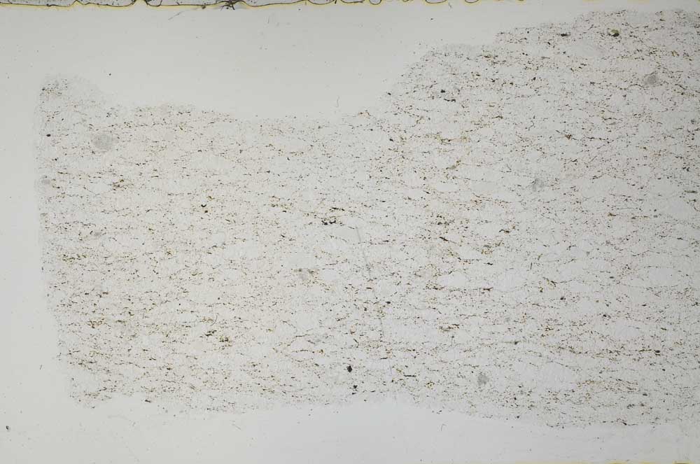 Plane Polarized, S55143