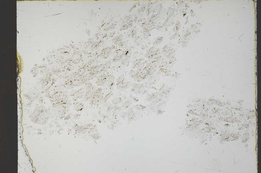 Plane Polarized, S55143/A