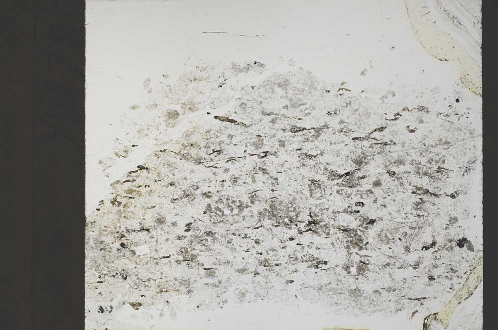 Plane Polarized, S55146