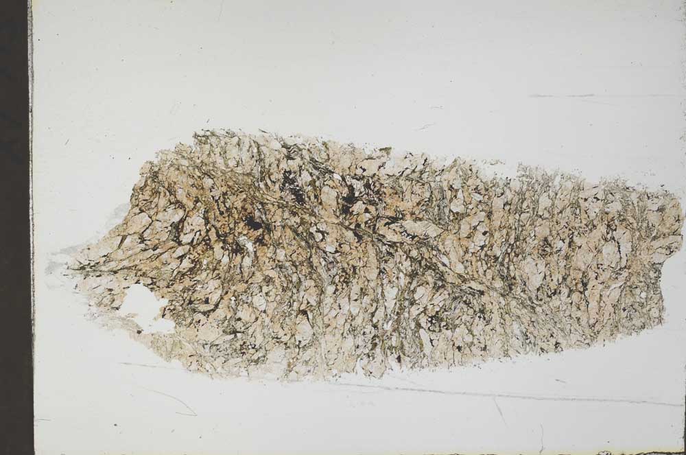 Plane Polarized, S55155