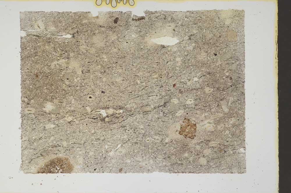 Plane Polarized, S55171