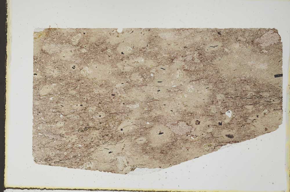 Plane Polarized, S55173