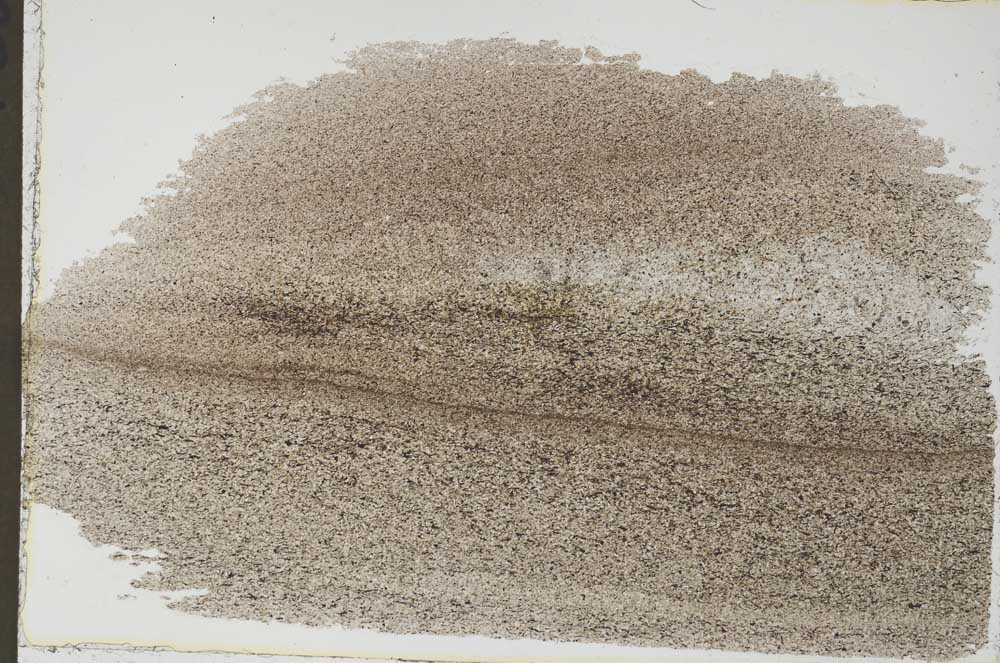 Plane Polarized, S55187/B