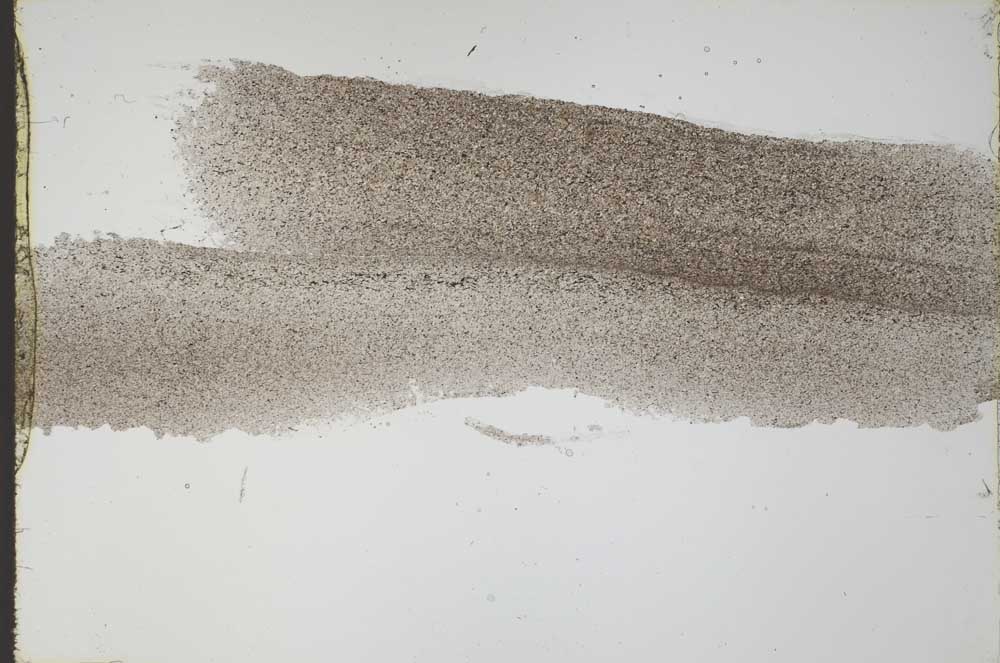 Plane Polarized, S55187/A