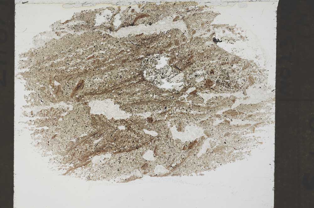 Plane Polarized, S55188