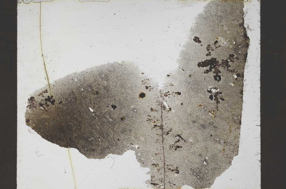 Plane Polarized, S55208