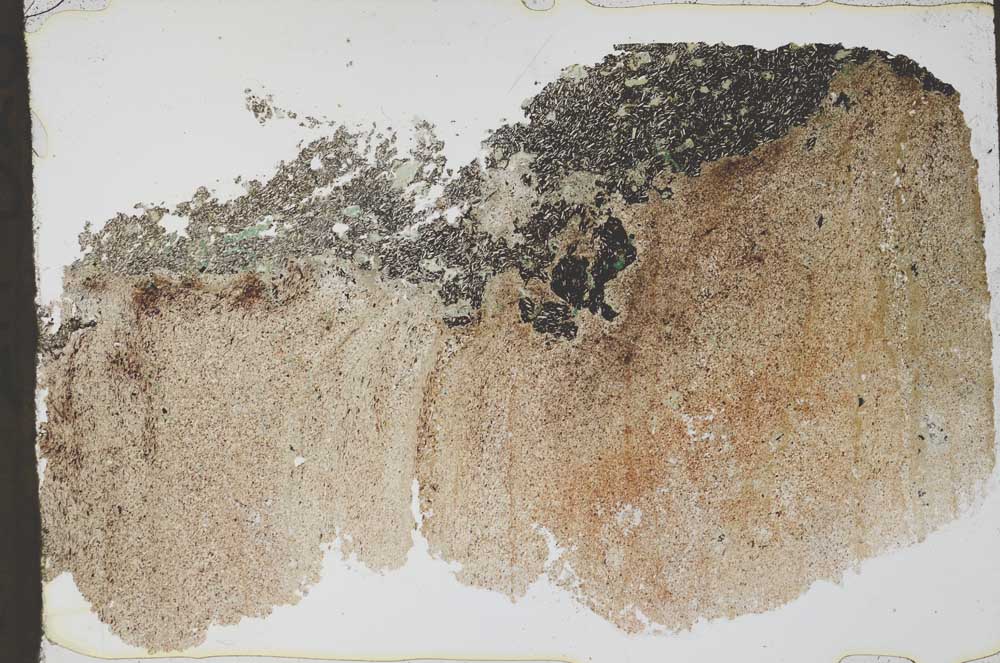 Plane Polarized, S55220