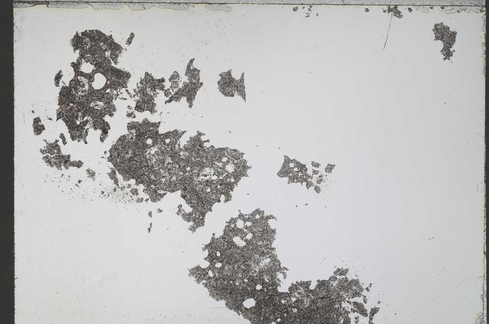 Plane Polarized, S55234