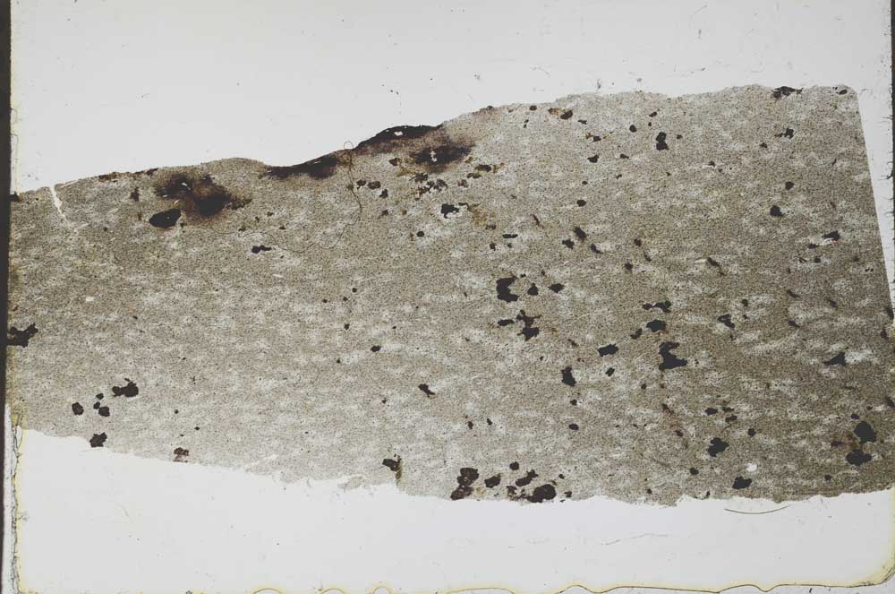 Plane Polarized, S55238