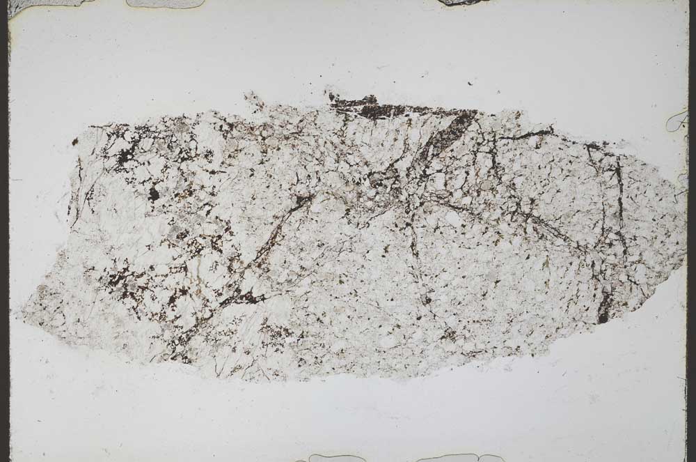 Plane Polarized, S55242