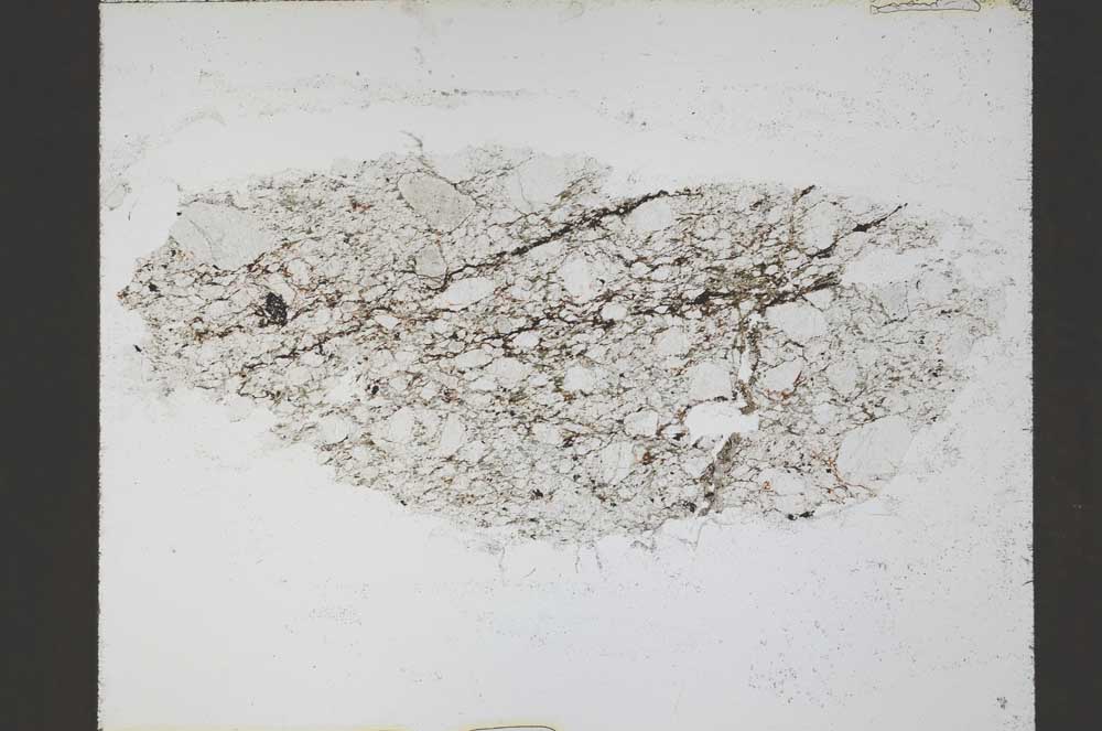 Plane Polarized, S55242/A