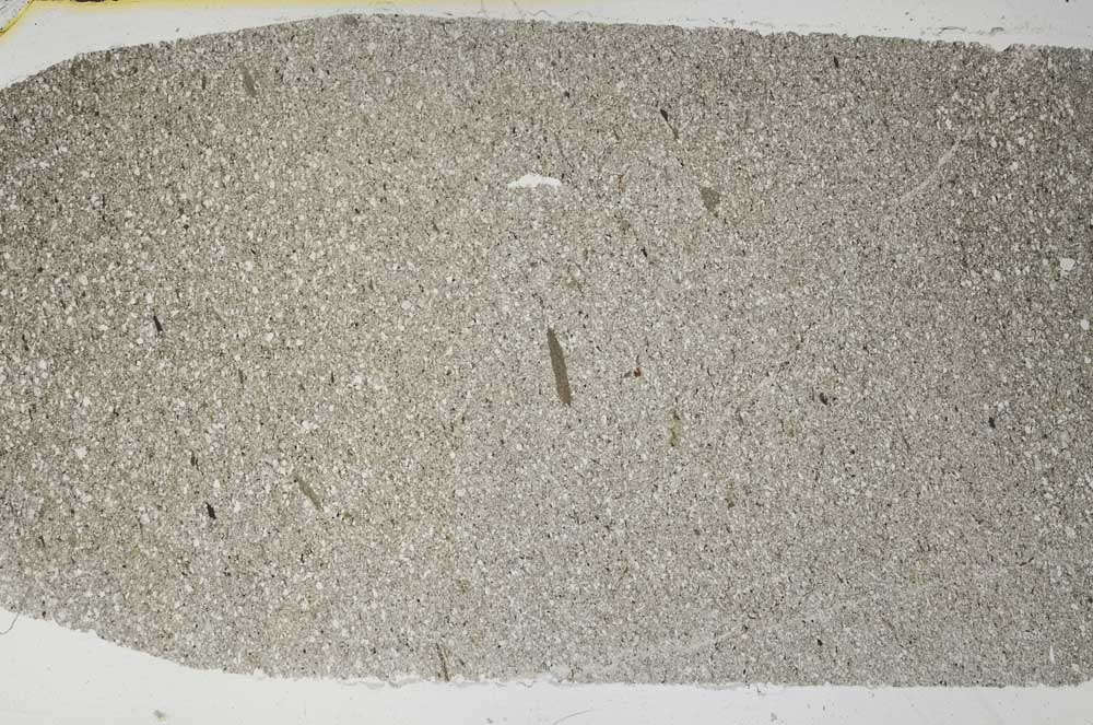 Plane Polarized, S55278