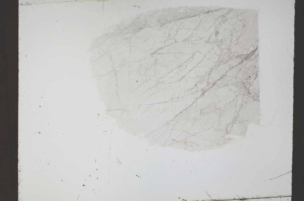 Plane Polarized, S55288
