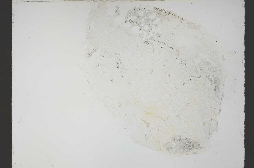 Plane Polarized, S55307