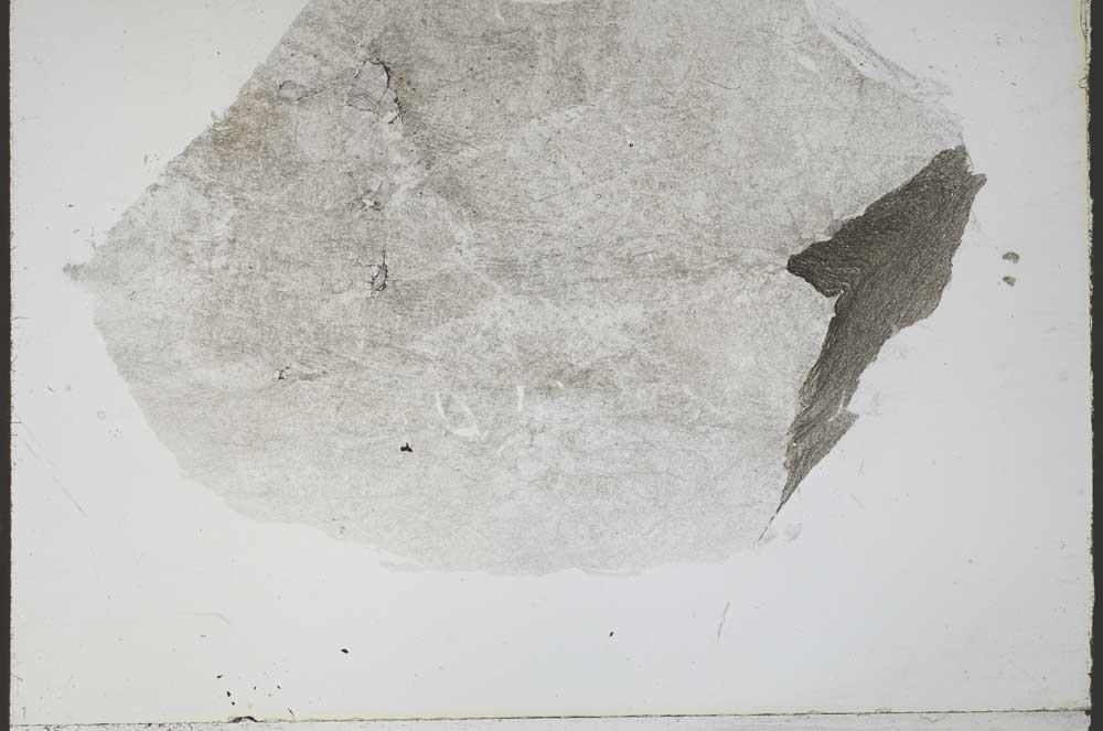 Plane Polarized, S55316