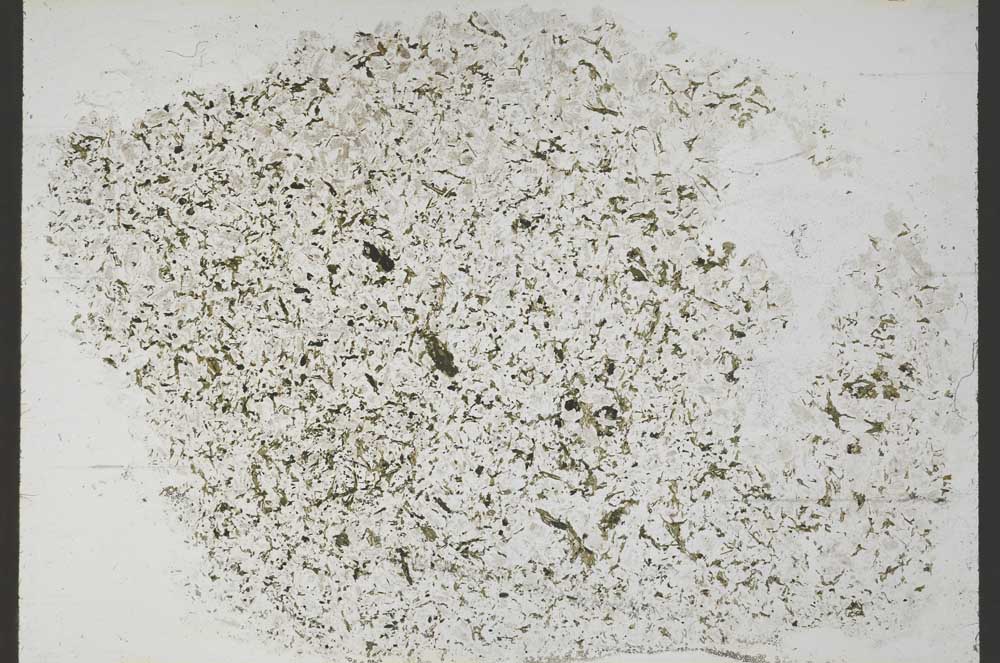 Plane Polarized, S55325
