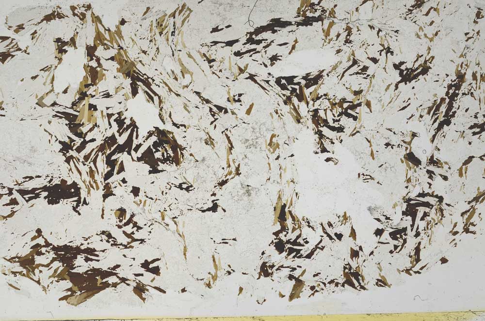 Plane Polarized, S55327