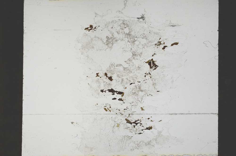 Plane Polarized, S55327/A