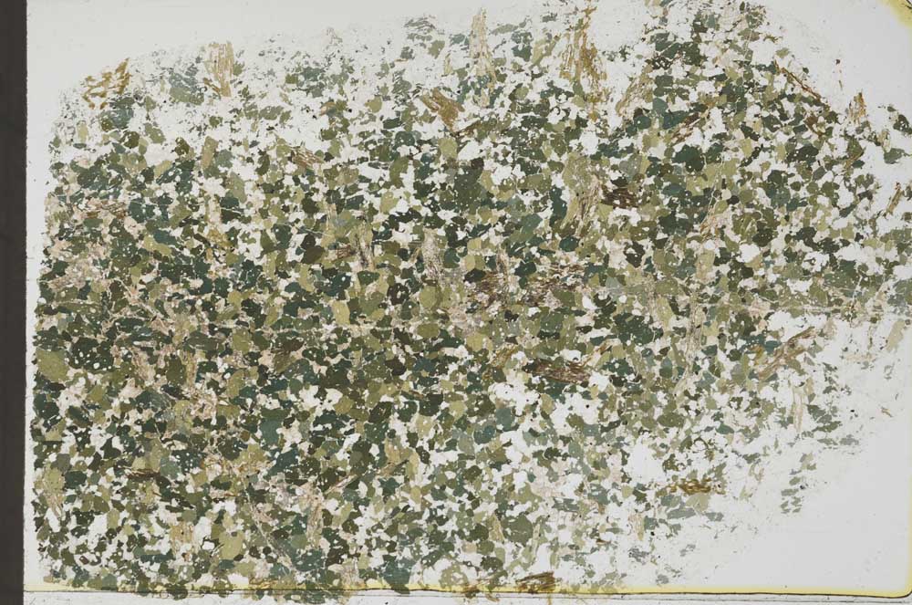 Plane Polarized, S55336