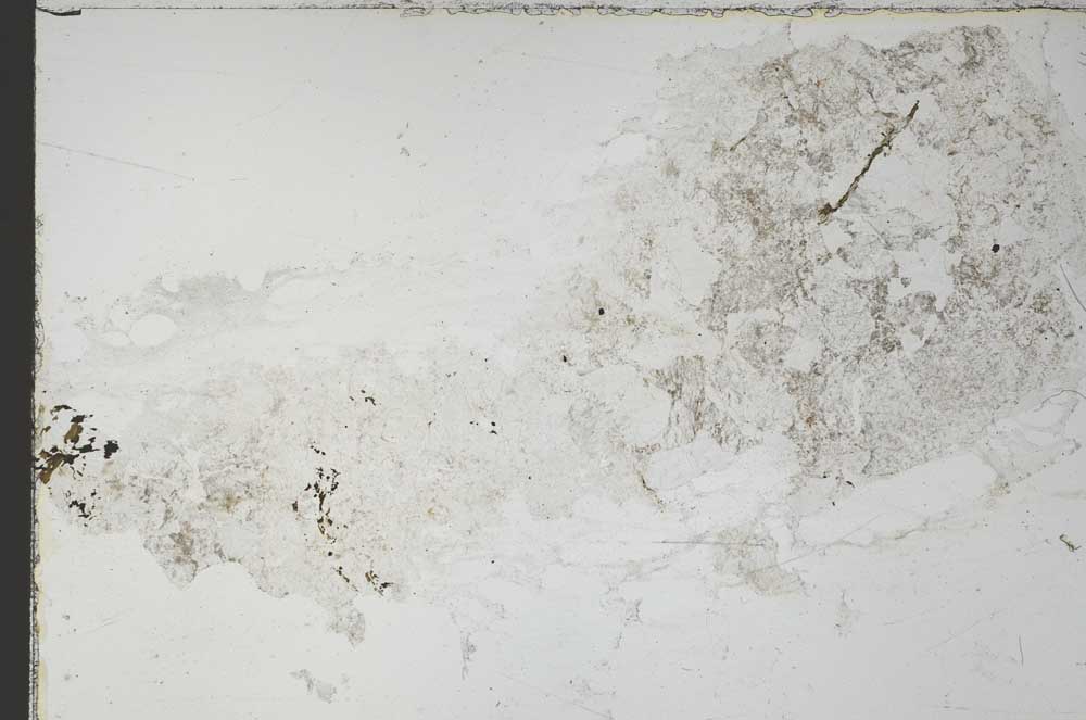 Plane Polarized, S55337